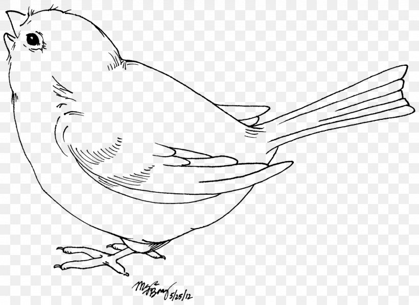 Bird Drawing Black And White Clip Art, PNG, 1600x1168px, Bird, Area, Art, Artwork, Beak Download Free