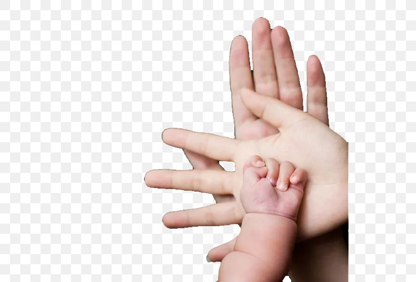 Download Icon, PNG, 555x555px, Google Images, Arm, Finger, Hand, Hand Model Download Free