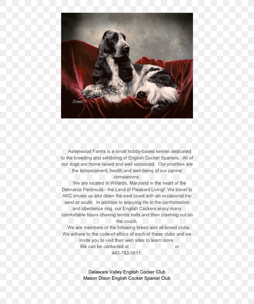 English Cocker Spaniel Salisbury Maryland Kennel Club, PNG, 454x978px, English Cocker Spaniel, Advertising, Breed, Cocker Spaniel, Dog Download Free