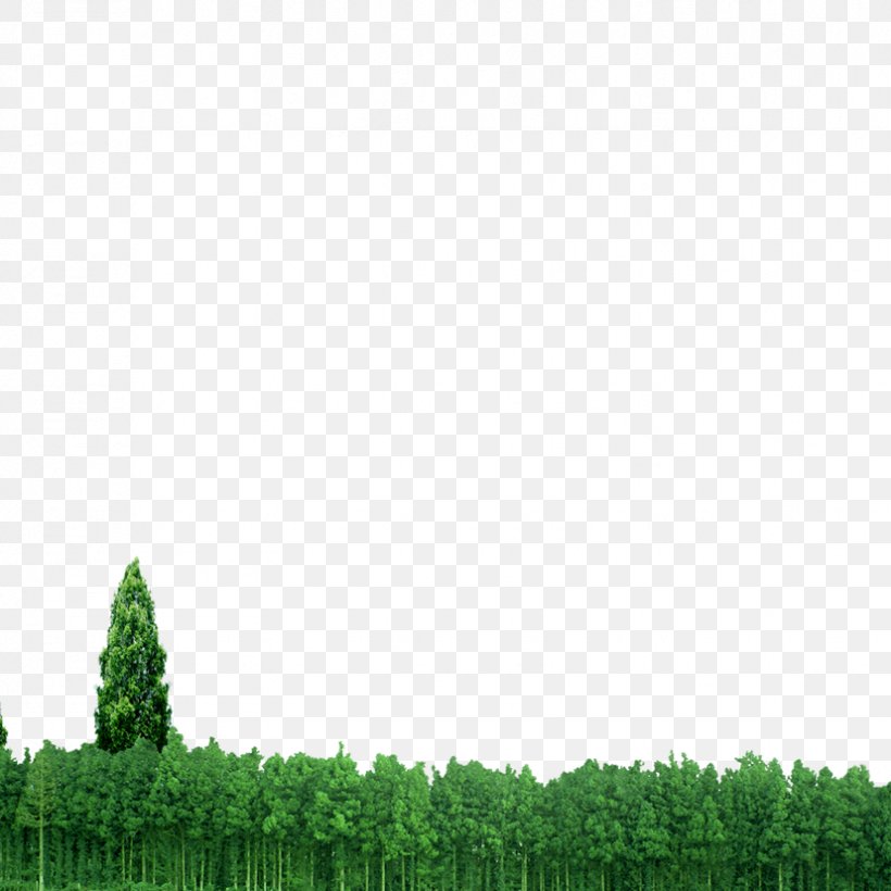 Forest Euclidean Vector, PNG, 827x827px, Forest, Grass, Green, Illustrator, Sky Download Free
