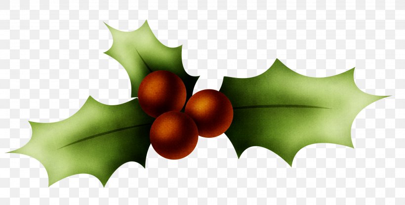 Holly Christmas Clip Art, PNG, 3254x1648px, Holly, Aquifoliaceae, Aquifoliales, Christmas, Conifer Cone Download Free