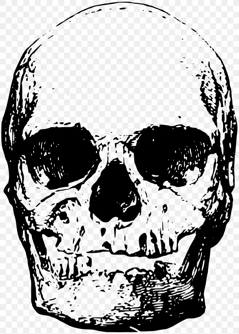 Skeleton, PNG, 1723x2400px, Skeleton, Black And White, Bone, Digital Image, Drawing Download Free