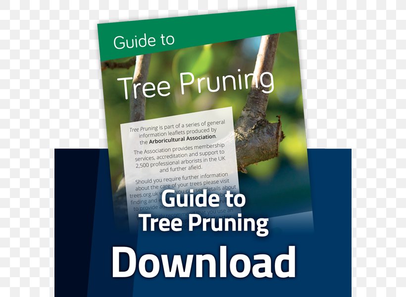 Tree Arboriculture Pruning Product Arboricultural Association, PNG, 600x600px, Tree, Advertising, Arboriculture, Brand, Brochure Download Free