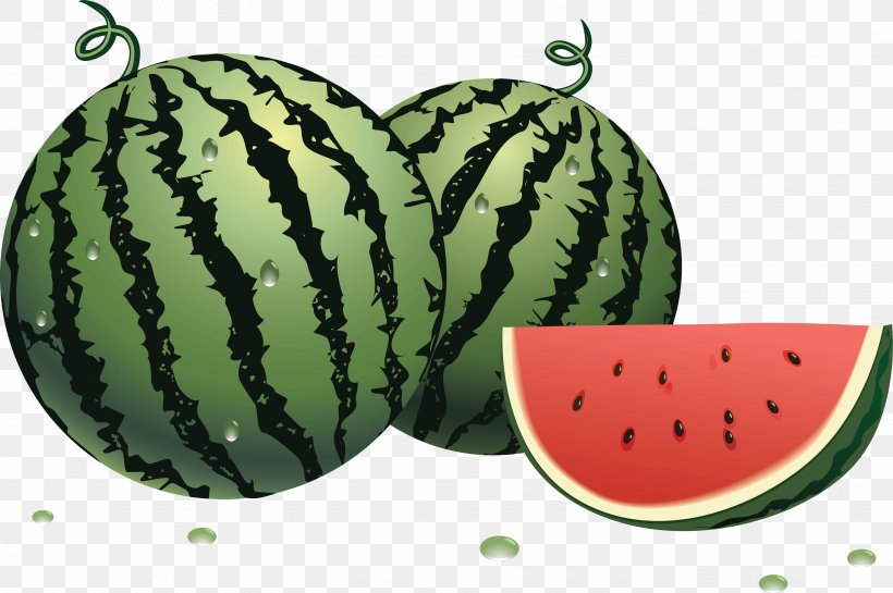 Watermelon Clip Art, PNG, 3528x2346px, Watermelon, Berry, Citrullus, Cucumber, Cucumber Gourd And Melon Family Download Free