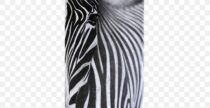 Zebra White Shoulder Sleeve, PNG, 600x423px, Zebra, Black, Black And White, Mammal, Monochrome Download Free