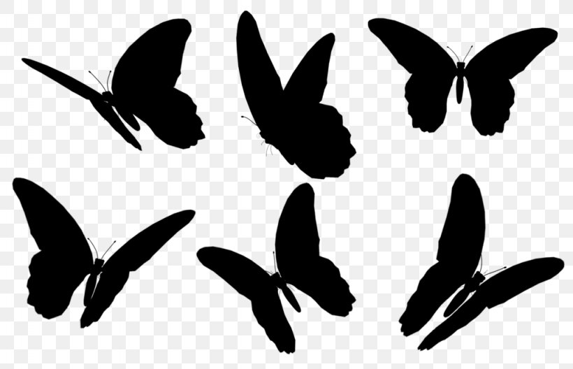 Clip Art Fauna Silhouette Line Pattern, PNG, 1024x660px, Fauna, Blackandwhite, Insect, Membrane, Moths And Butterflies Download Free