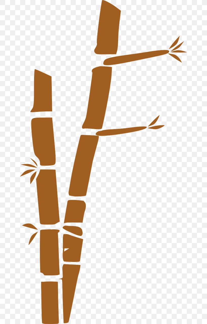 Clip Art Bamboo Image File Format, PNG, 661x1280px, Bamboo, Arm, Finger, Hand, Joint Download Free