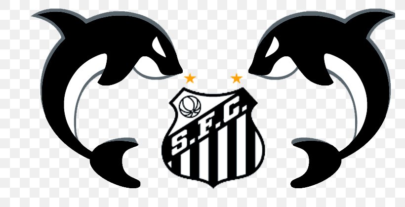 Santos FC CT Rei Pelé Esporte Clube Vitória Meninos Da Vila Unidade Ponta Da Praia II, PNG, 780x419px, Santos Fc, Beak, Bird, Black And White, Cat Download Free