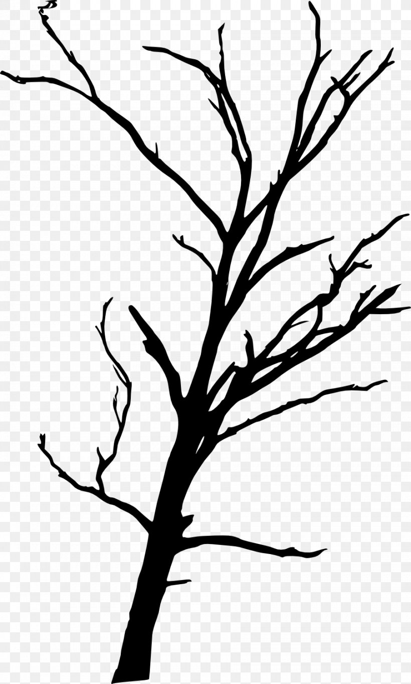 Tree Branch Woody Plant Clip Art, PNG, 902x1500px, Tree, Artwork, Beak, Black And White, Branch Download Free