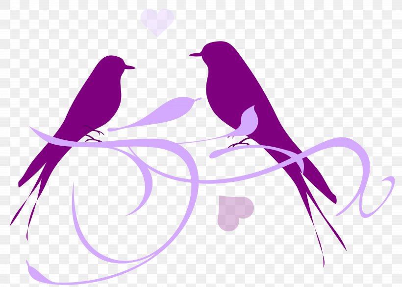 Lovebird Clip Art, PNG, 6983x5000px, Lovebird, Beak, Bird, Branch, Feather Download Free