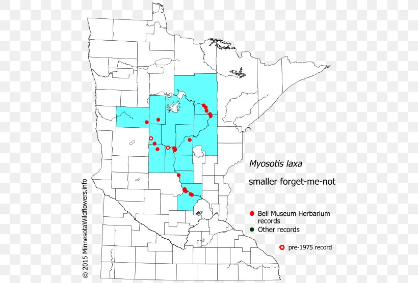 Minnesota Carex Hallii Sedges Flora Hall Brewing Diagram, PNG, 505x556px, Minnesota, Area, Diagram, Information, Land Lot Download Free