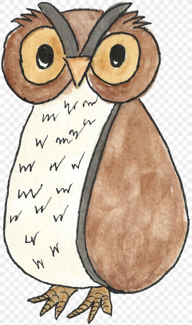 Owl Beak Clip Art, PNG, 1065x1800px, Owl, Art, Beak, Bird, Bird Of Prey Download Free