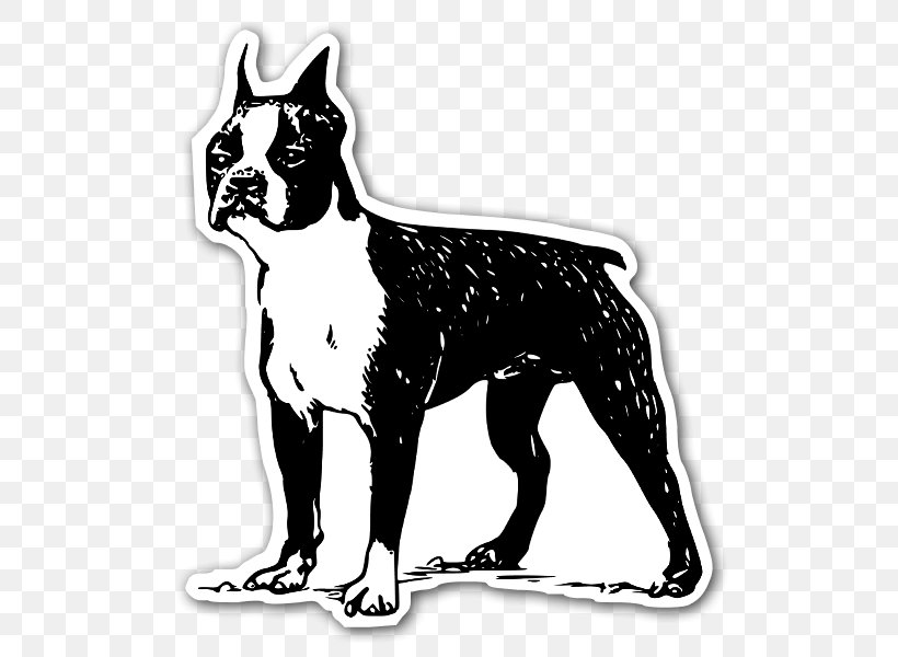 Boston Terrier Bull Terrier Scottish Terrier Irish Terrier Rat Terrier, PNG, 536x600px, Boston Terrier, Black And White, Bull Terrier, Bulldog, Cairn Terrier Download Free