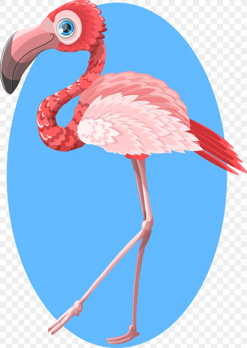 Flamingo Paper Clip Art, PNG, 909x1280px, Flamingo, Beak, Bird, Cartoon, Gift Download Free