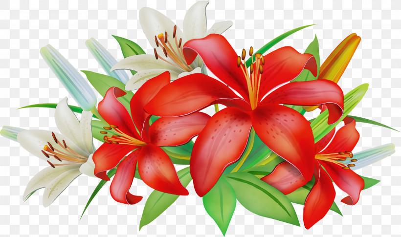 Flower Red Plant Petal Lily, PNG, 3000x1775px, Watercolor, Flower, Lily, Paint, Petal Download Free