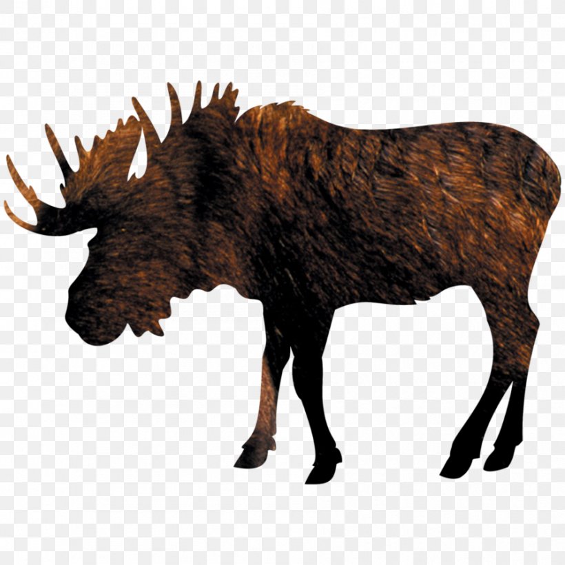 Moose Clip Art, PNG, 894x894px, Moose, Antler, Art, Cartoon, Cattle Like Mammal Download Free