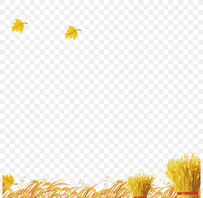Yellow Pattern, PNG, 800x800px, Yellow Download Free