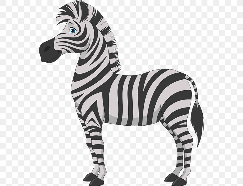 Zebra Cartoon Royalty-free Clip Art, PNG, 555x626px, Zebra, Animal Figure, Black And White, Cartoon, Depositphotos Download Free