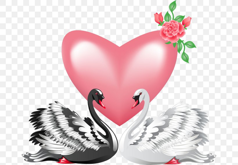 Black Swan Royalty-free Clip Art, PNG, 670x567px, Watercolor, Cartoon, Flower, Frame, Heart Download Free