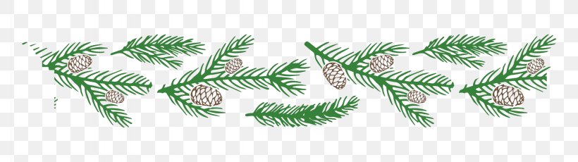 Family Tree Background, PNG, 2048x575px, Branching, Colorado Spruce, Conifer, Fir, Green Download Free