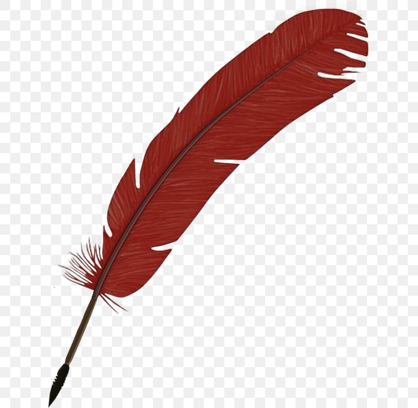 Feather Gratis, PNG, 632x800px, Feather, Drawing, Free Software, Gratis, Highdefinition Television Download Free