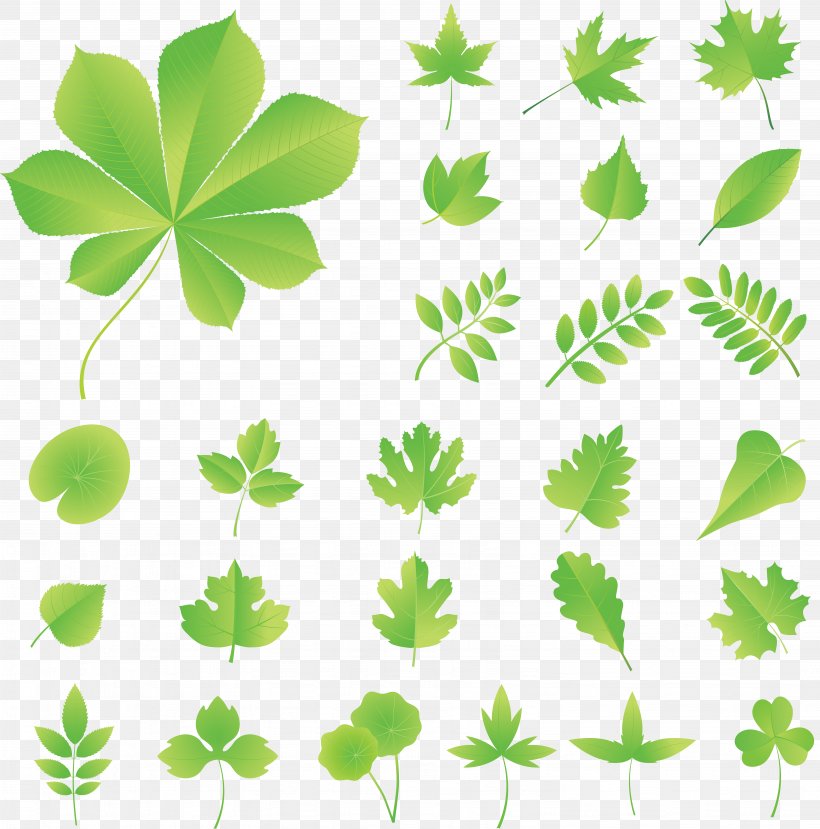 Clip Art, PNG, 6162x6231px, Shape, Animation, Branch, Cartoon, Flora Download Free