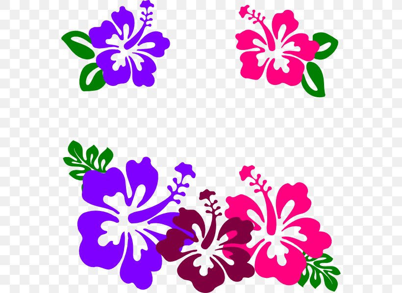 Clip Art Shoeblackplant Hawaiian Hibiscus Free Content, PNG, 570x597px, Shoeblackplant, Blue Hibiscus, Cut Flowers, Flora, Floral Design Download Free