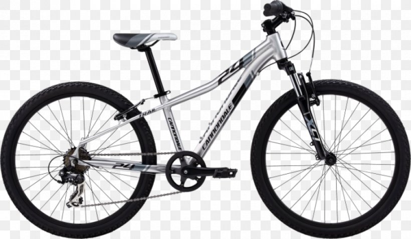 Miami Beach Bicycle Center Mountain Bike Cannondale Bicycle Corporation Cycling, PNG, 914x532px, Bicycle, Automotive Exterior, Automotive Tire, Bicycle Accessory, Bicycle Drivetrain Part Download Free