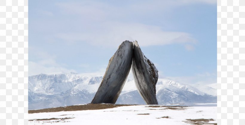 Tippet Rise Art Center Photography Beartooth Mountains Fishtail Landscape, PNG, 1000x513px, Photography, Arctic, Beartooth Mountains, Divisare, Fishtail Download Free