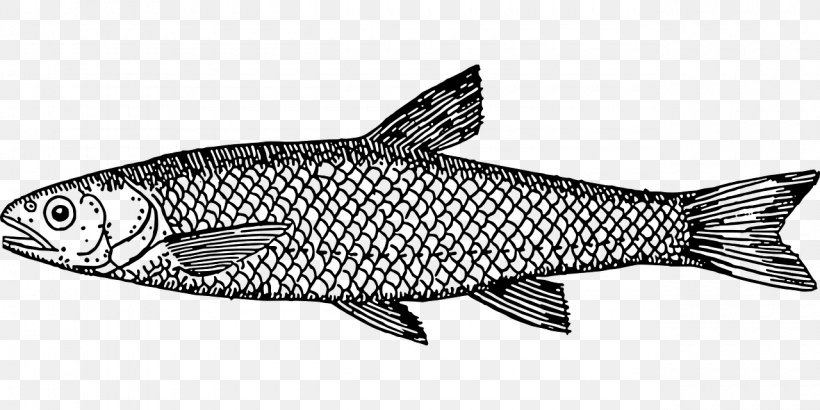 Drawing Fish Line Art Clip Art, PNG, 1280x640px, Drawing, Animal Figure, Black And White, Bony Fish, Fauna Download Free