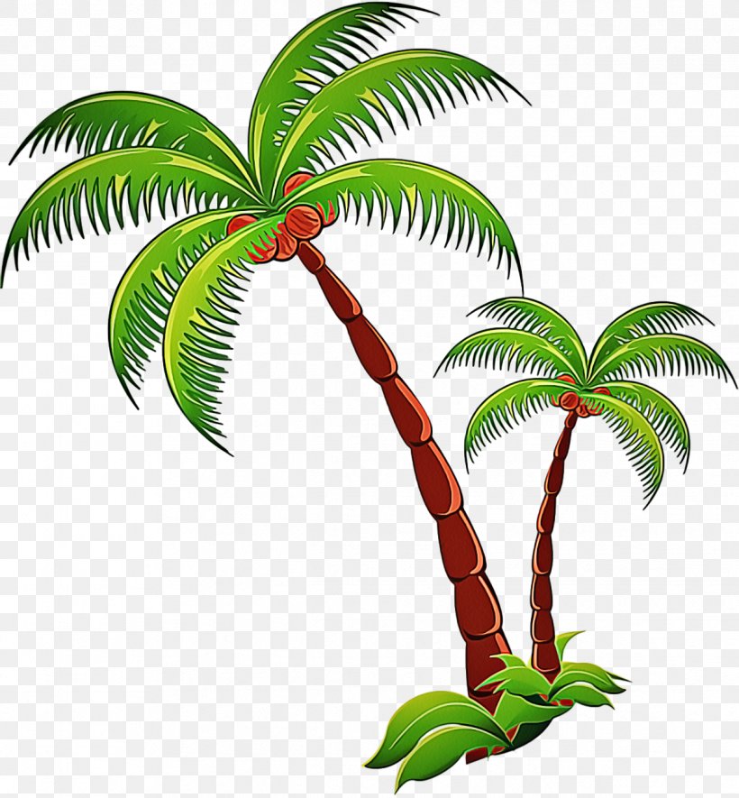 Palm Tree, PNG, 1218x1316px, Tree, Arecales, Flower, Flowering Plant, Leaf Download Free