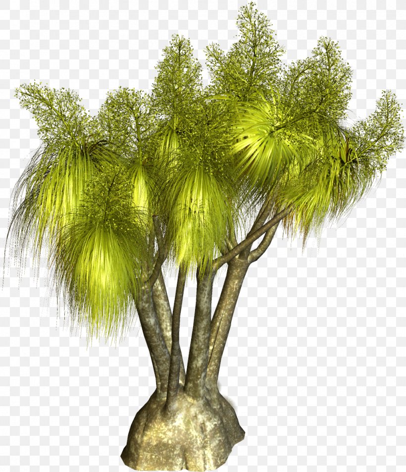 Tree Plant Clip Art, PNG, 1022x1188px, Tree, Arecaceae, Arecales, Branch, Computer Software Download Free