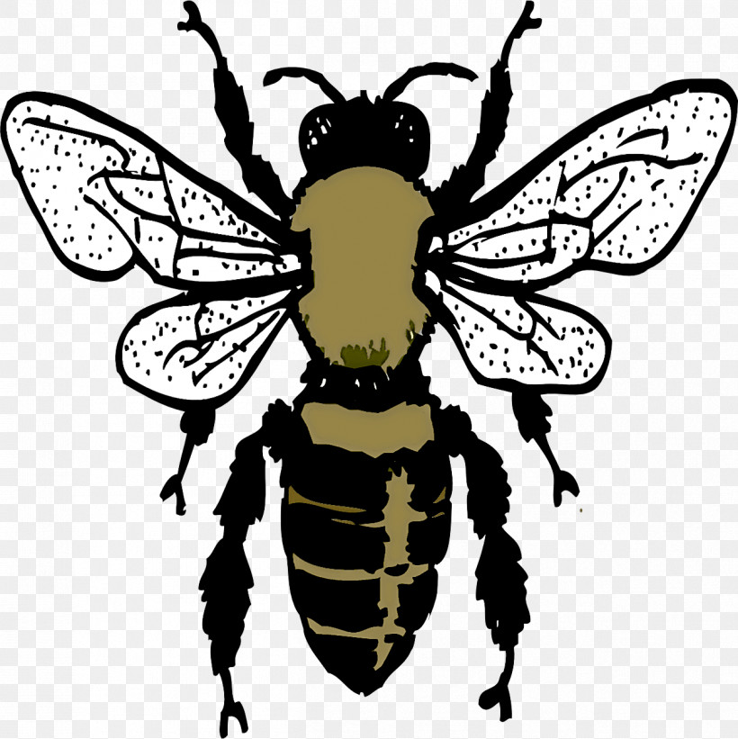 Bumblebee, PNG, 1261x1263px, Western Honey Bee, Beehive, Bees, Bumblebee, Cartoon Download Free