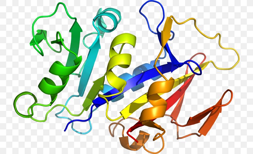 Interleukin-1 Family Interleukin 1 Receptor, Type I Interleukin-1 Receptor IL1A, PNG, 734x500px, Interleukin1 Family, Area, Artwork, Ccr5, Human Behavior Download Free