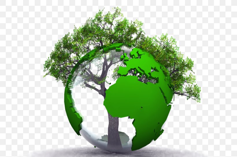 Sustainable Development Environmental Protection Natural Environment Economic Development Enjeu, PNG, 768x542px, Sustainable Development, Ansvar, Earth, Economic Development, Economy Download Free