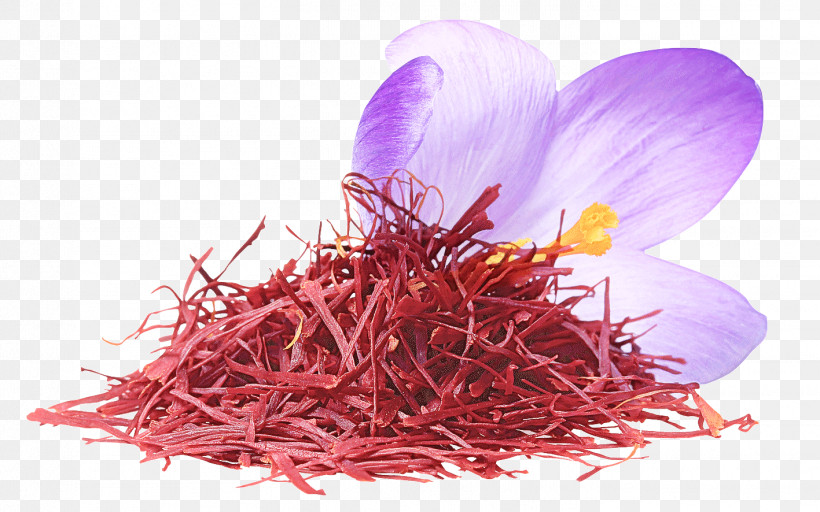 Crocus Saffron Saffron Crocus Petal Plant, PNG, 1417x886px, Crocus, Flower, Iris Family, Magenta, Perennial Plant Download Free