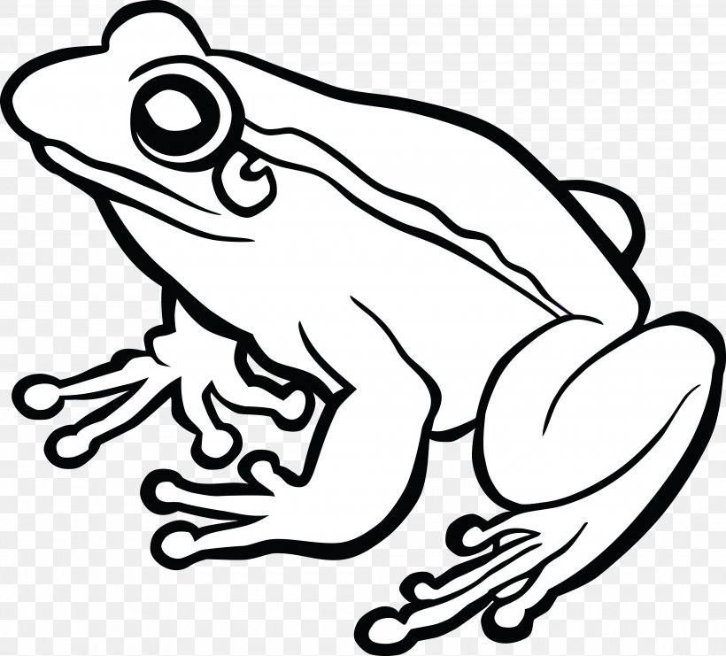Frog Line Art Drawing Clip Art, PNG, 4000x3618px, Watercolor, Cartoon, Flower, Frame, Heart Download Free