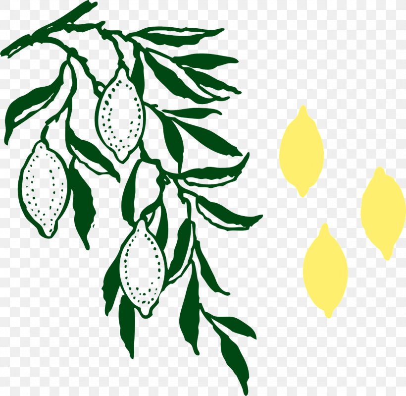 Lemon Branch Clip Art, PNG, 1280x1248px, Lemon, Artwork, Branch, Citrus, Drawing Download Free