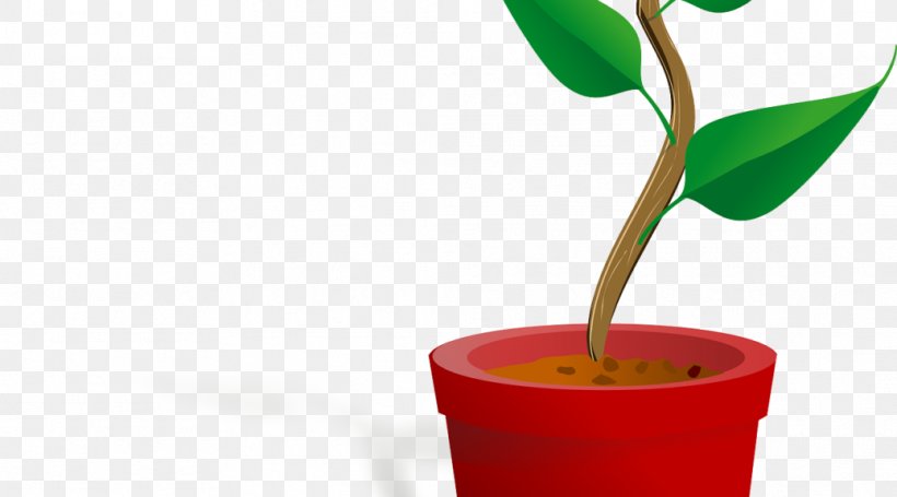 Plant Flowerpot Transfer DNA Clip Art, PNG, 1038x576px, Plant, Art, Auxin, Flower, Flowerpot Download Free