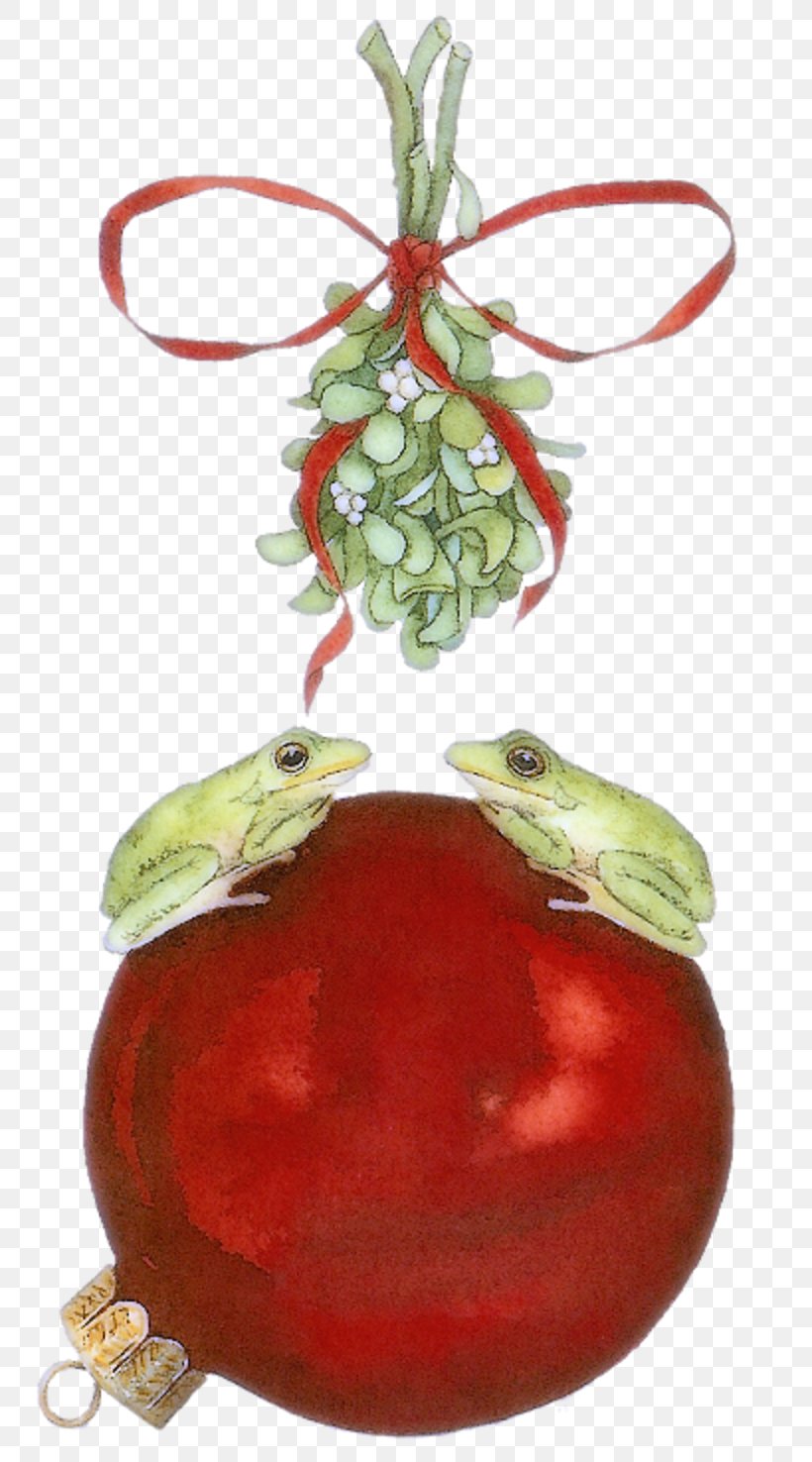 Tomato Pomegranate Juice Christmas Ornament Superfood Cranberry, PNG, 800x1476px, Tomato, Christmas, Christmas Decoration, Christmas Ornament, Cranberry Download Free