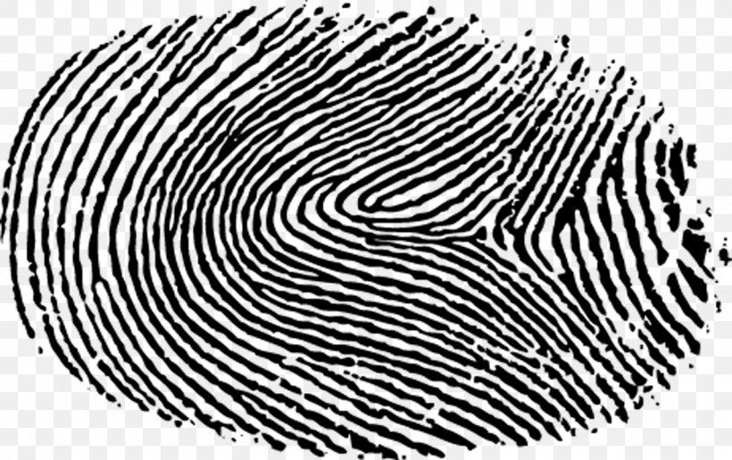 Fingerprint Digital Printing Risk, PNG, 1280x806px, Fingerprint, Black And White, Digit, Digital Data, Digital Printing Download Free