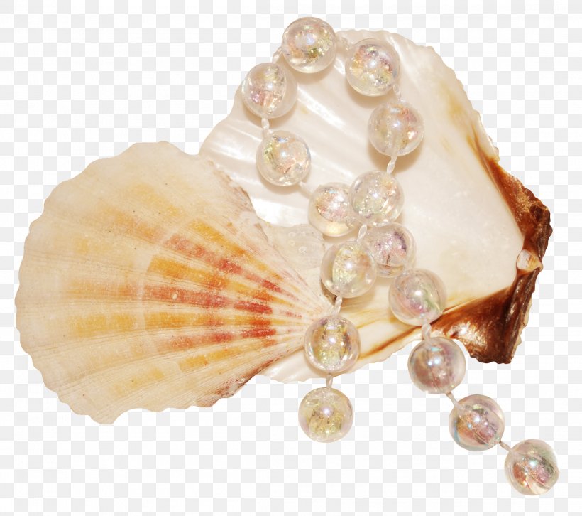 Seashell Pearl Mollusc Shell, PNG, 2316x2053px, Seashell, Clams Oysters Mussels And Scallops, Cockle, Conch, Conchology Download Free