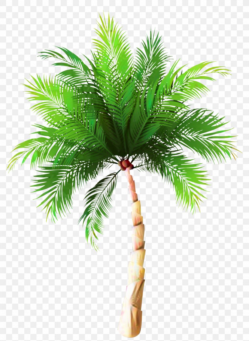 Vector Graphics Palm Trees Illustration Asian Palmyra Palm Sabal Palm, PNG, 2190x3000px, Palm Trees, Arecales, Asian Palmyra Palm, Borassus Flabellifer, Coconut Download Free