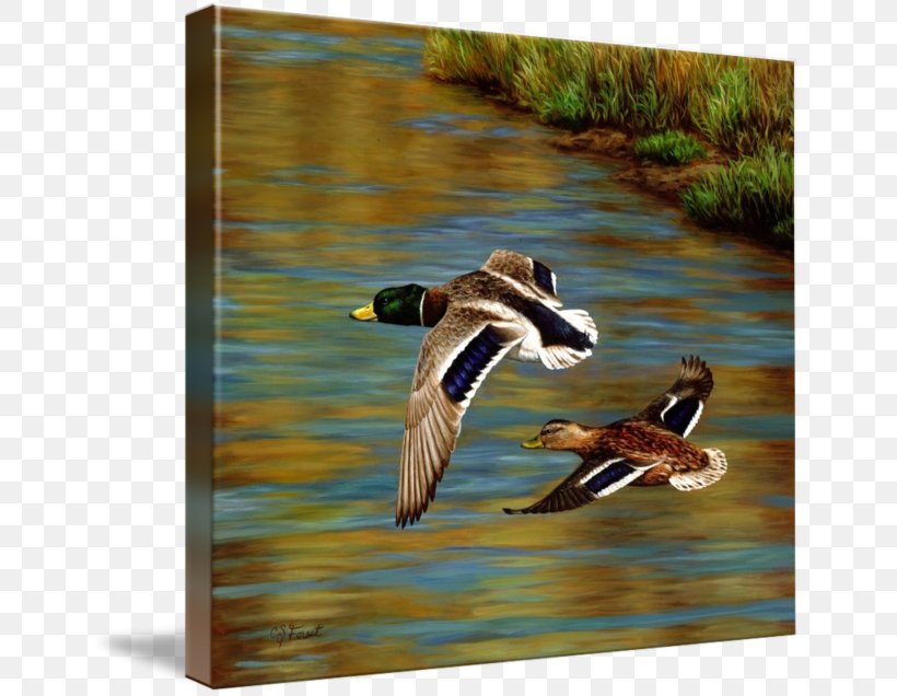 Mallard Duck Painting Goose Forest, PNG, 650x636px, Mallard, Art, Beak, Bird, Canvas Download Free