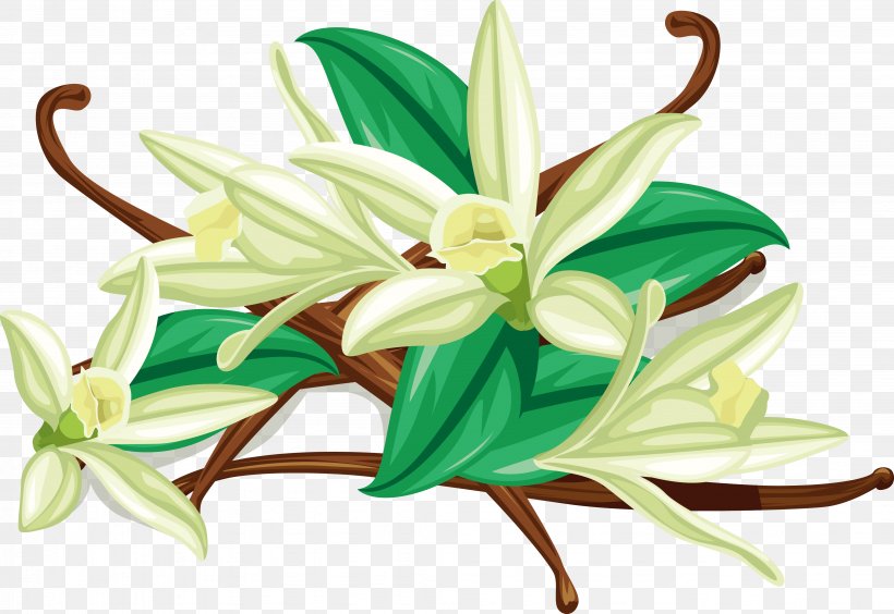 Flat-leaved Vanilla Spice Euclidean Vector, PNG, 4108x2830px, Flatleaved Vanilla, Chocolate, Cut Flowers, Flora, Floral Design Download Free