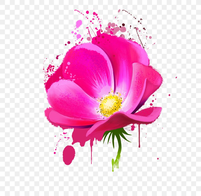 Floral Design Flower Watercolor Painting, PNG, 800x800px, Floral Design, Annual Plant, Blossom, Botanical Illustration, Digital Illustration Download Free
