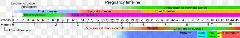 Pregnancy Gestational Age Childbirth Abortion Woman, PNG, 6017x967px, Pregnancy, Abortion, Child, Childbirth, Estimated Date Of Confinement Download Free
