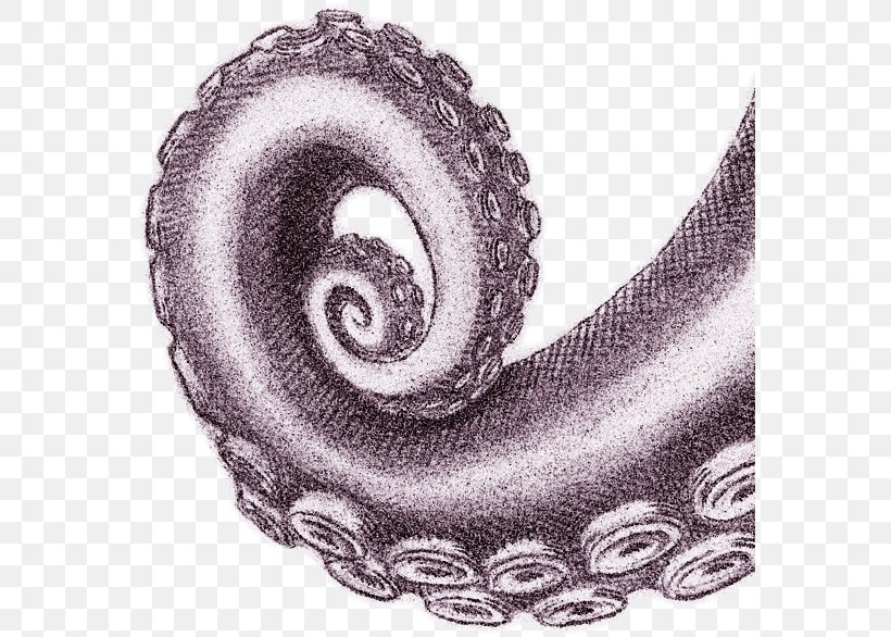 Car - Car Drawing /m/02csf PNG