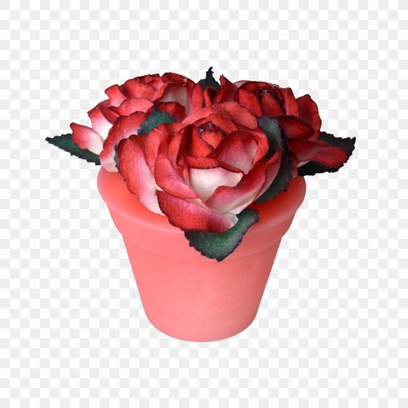 Flowerpot Rosaceae Garden Roses Cut Flowers, PNG, 1000x1000px, Flowerpot, Artificial Flower, Centifolia Roses, Cut Flowers, Flower Download Free