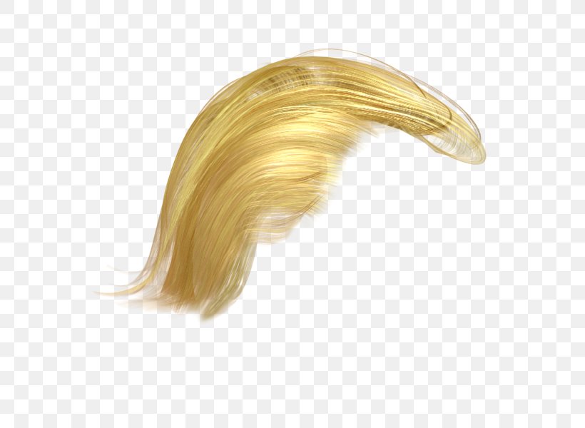 Hair Image Transparency Wig, PNG, 600x600px, Hair, Alpha Compositing, Donald Trump, Hair Coloring, Model Download Free